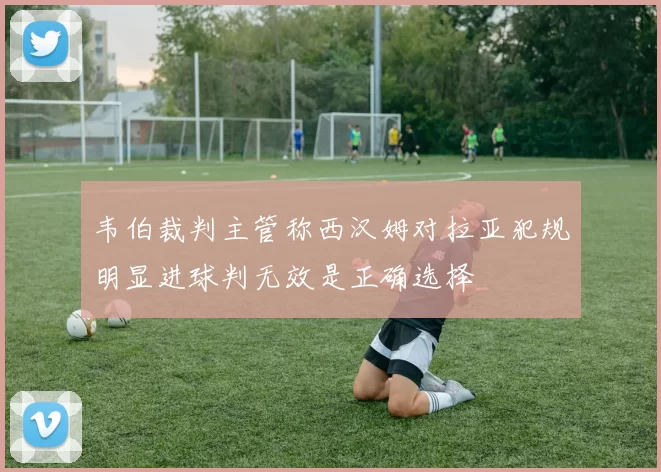 韦伯裁判主管称西汉姆对拉亚犯规明显进球判无效是正确选择