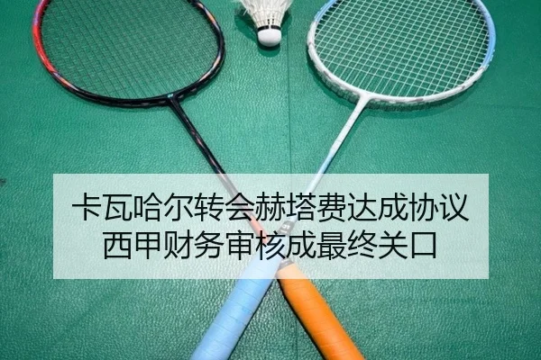 卡瓦哈尔转会赫塔费达成协议 西甲财务审核成最终关口（kaiyun）